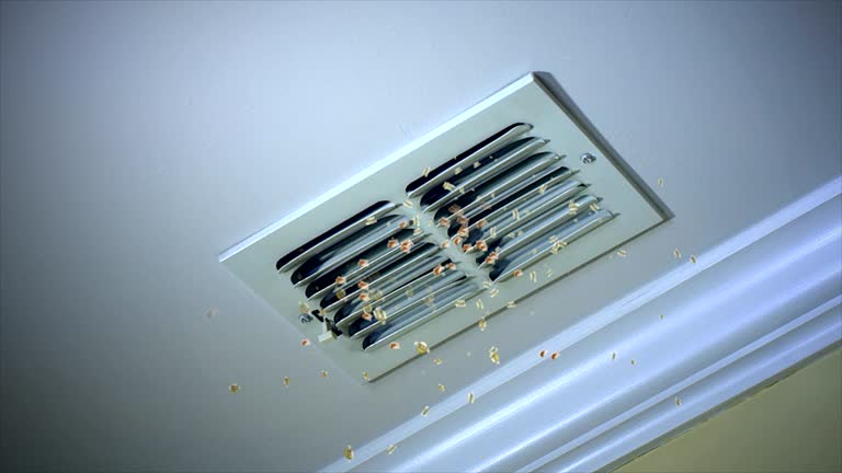 Best Emergency Air Duct Cleaning  in Tawas City, MI